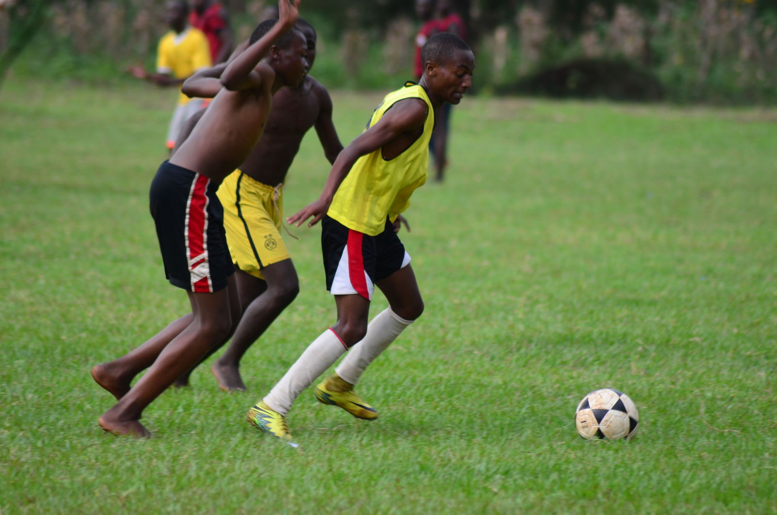 Young football players competing on a grass field